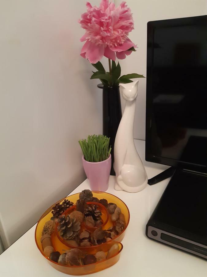 Relax Apartament 콘스탄차 외부 사진